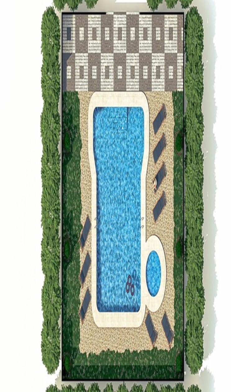 Top Image